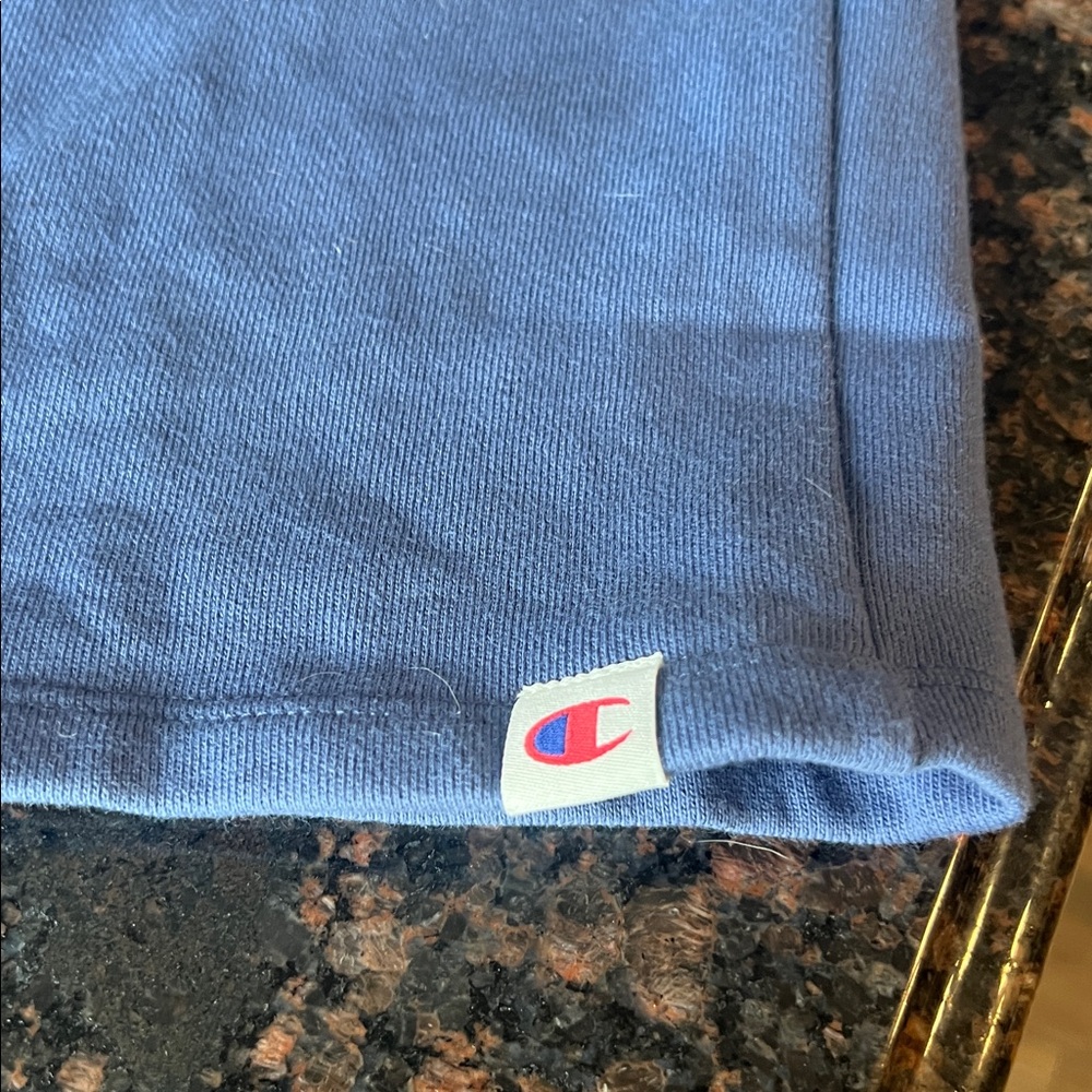 Champion periwinkle Jogger Sweatpants size XXL - Picture 2 of 4